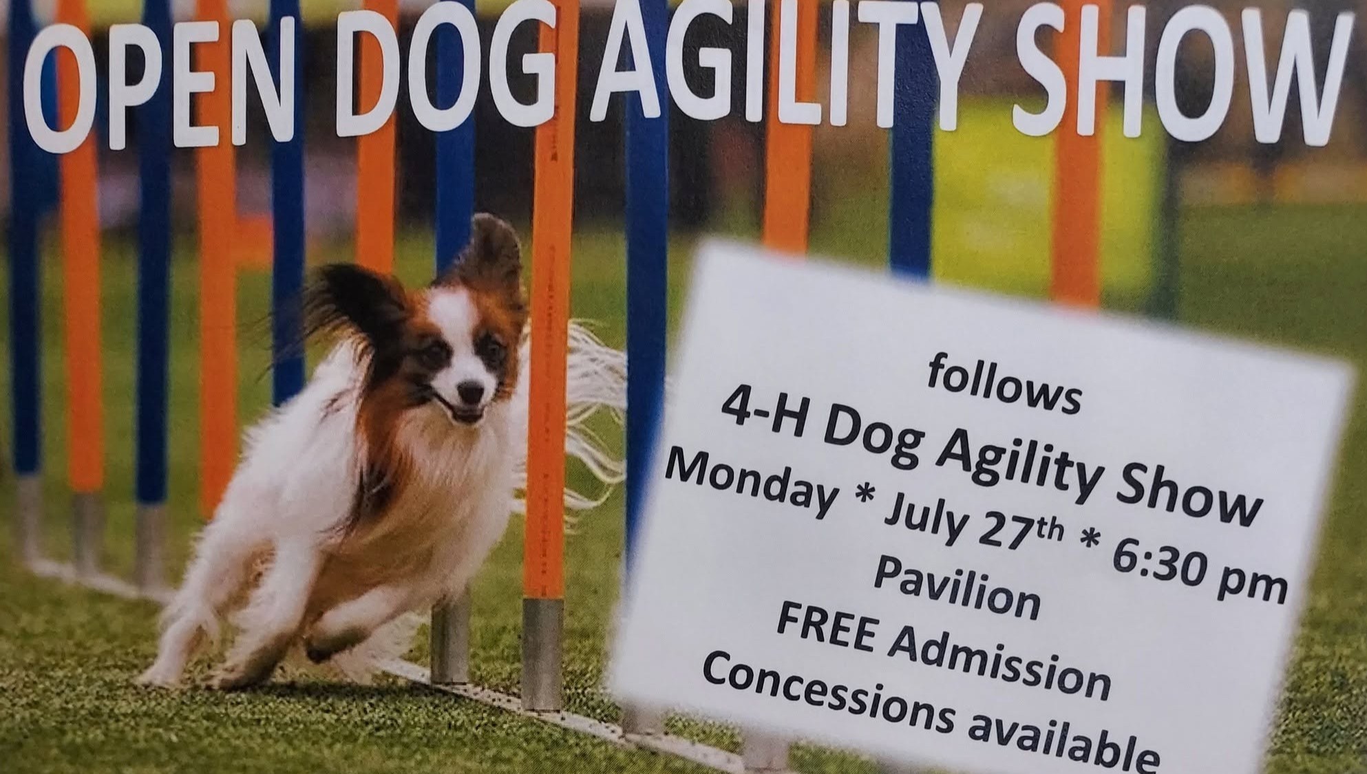 Open Dog Agility Show flyer for Monday, July 27 at 6:30 PM in the Pavilion at the Goshen County Fairgrounds. Free admission and concessions available.