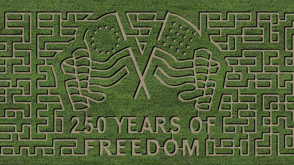 Open Maze Ellis' Harvest Home Corn Maze & Pumpkin Patch - Last Day Open for the ...