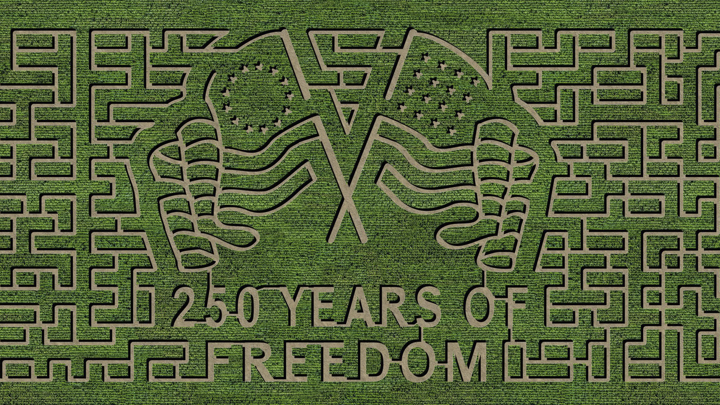 Ellis Harvest Home Corn Maze featuring the 250 Years of Freedom design